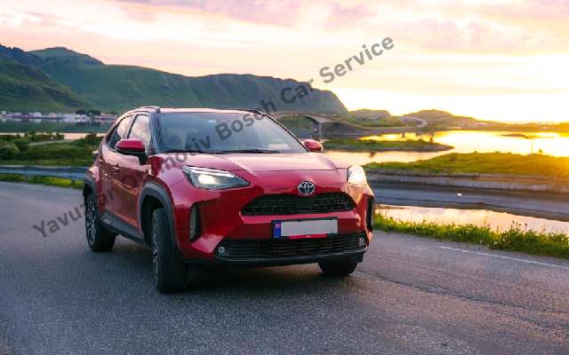 Professional Vehicle Maintenance for a Safe Driving Experience