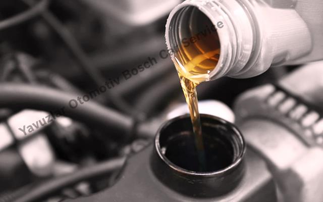 Oil & Filter Change